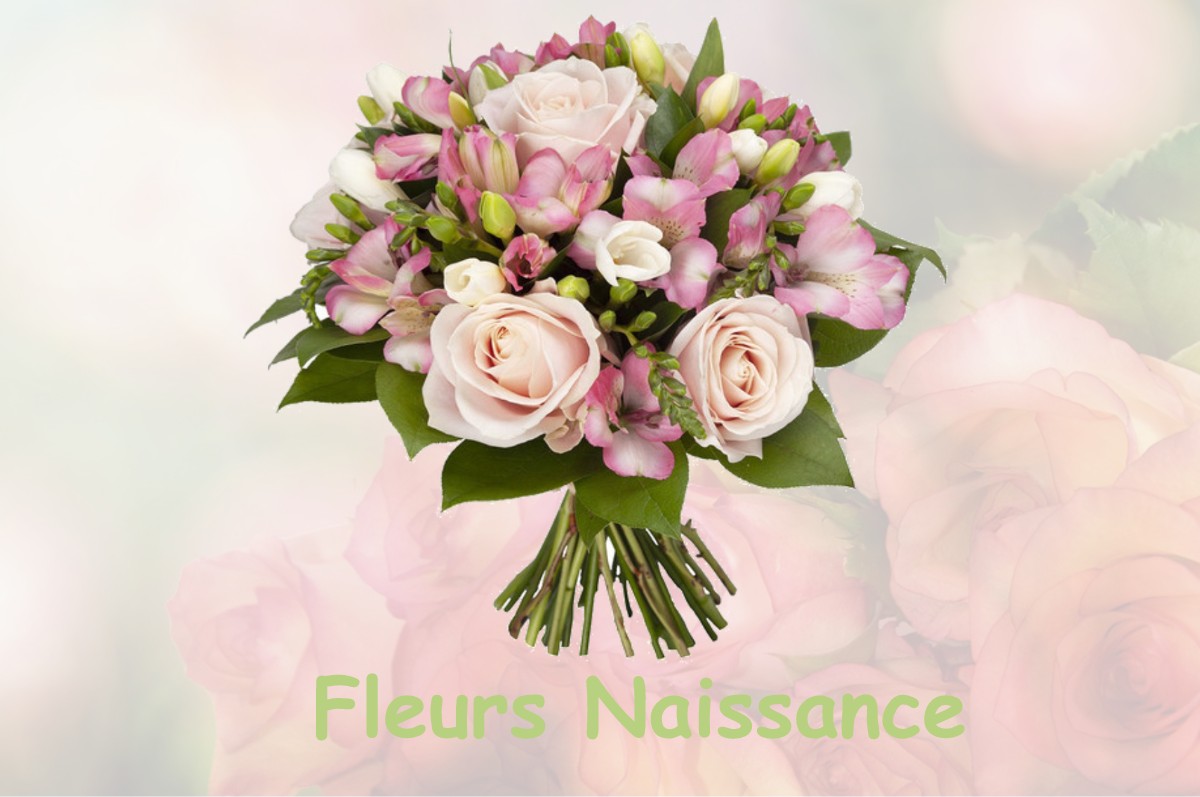 fleurs naissance BRIANCONNET