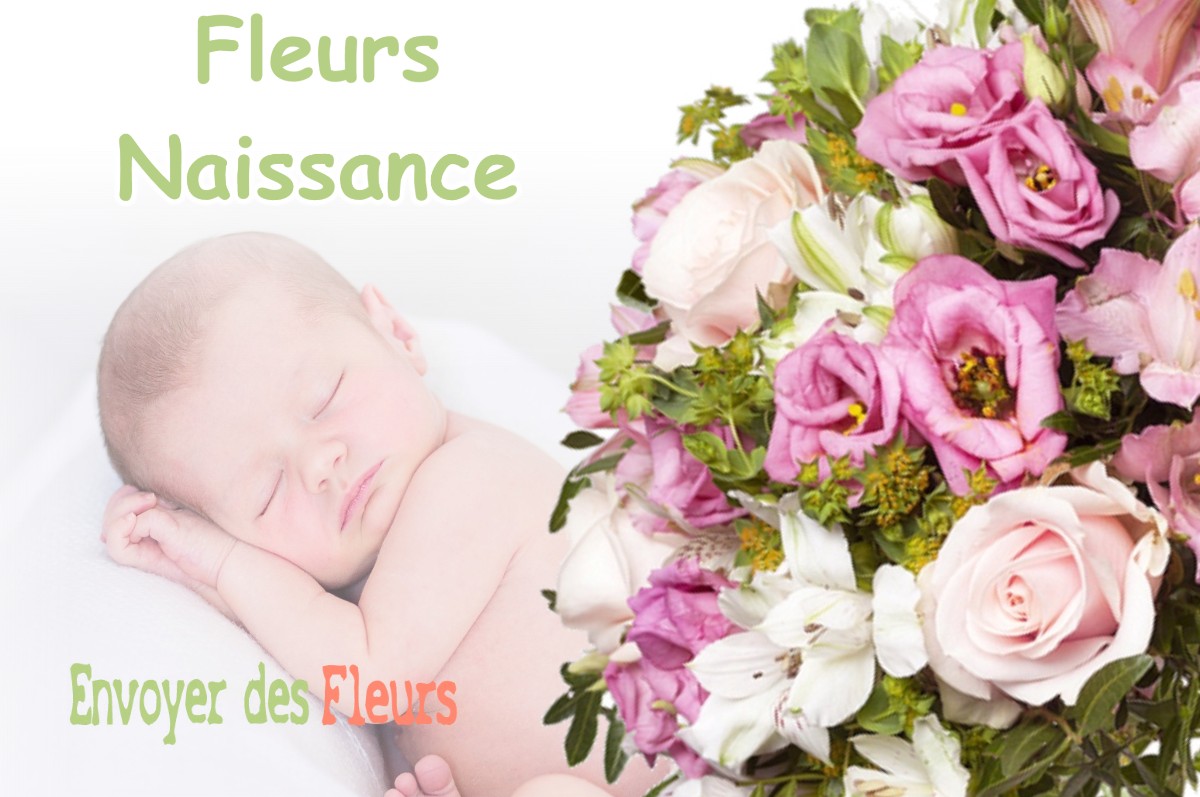 lIVRAISON FLEURS NAISSANCE à BRIANCONNET